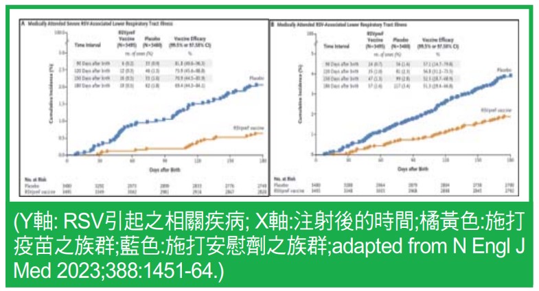 保護新生兒的新疫苗/呼吸道融合病毒疫苗