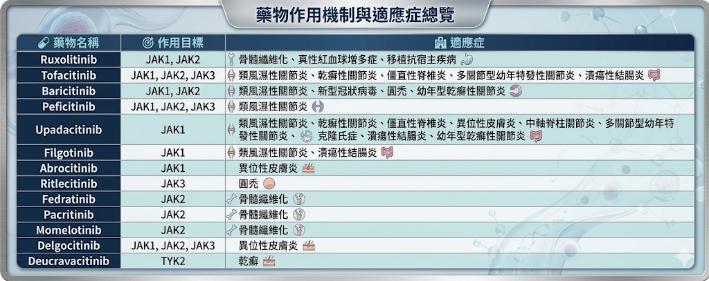 發炎停不下來怎麼辦？認識口服免疫開關