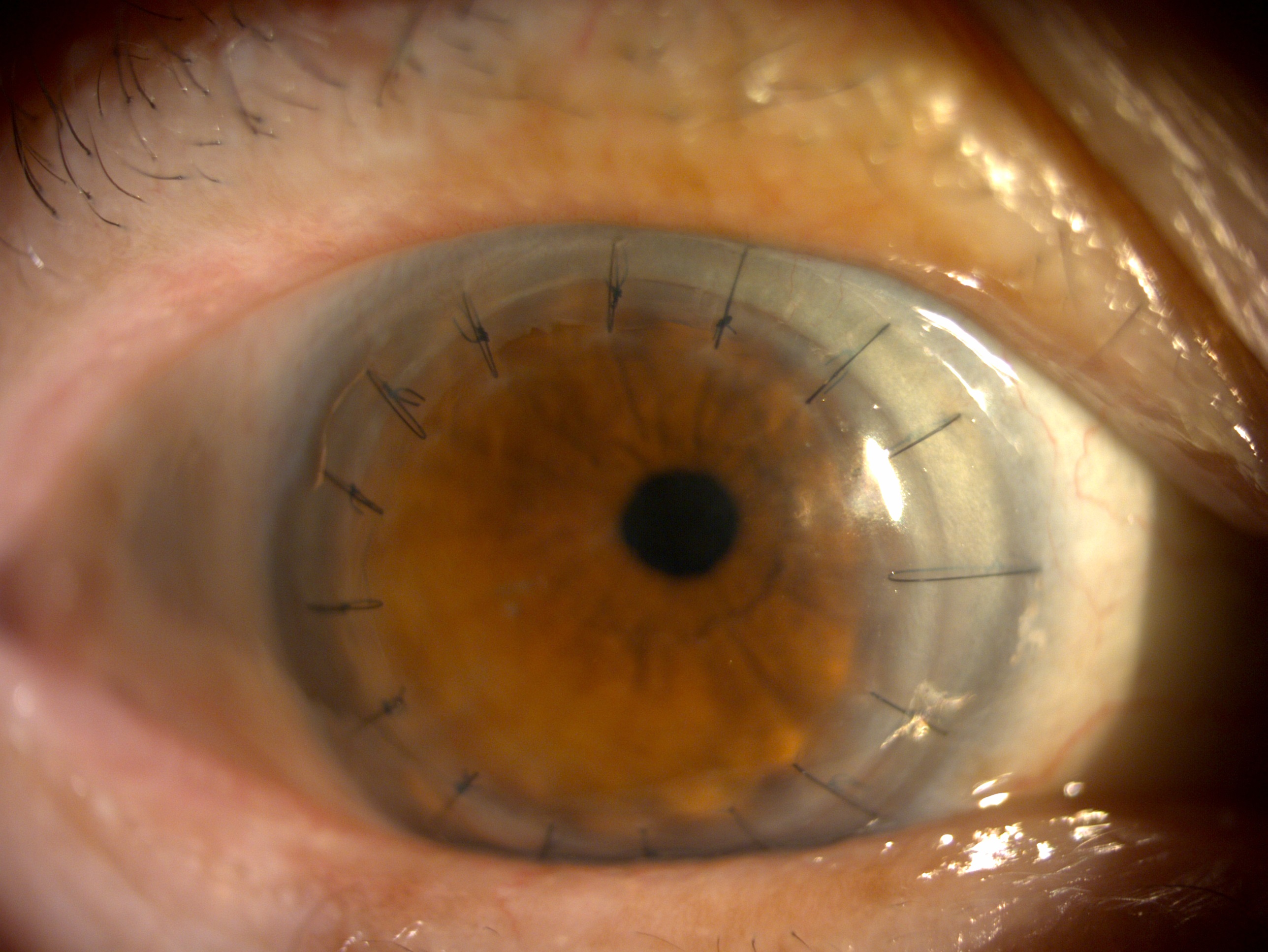 -_20240410_090237_DC4Image_R_6152.jpg (947 KB)