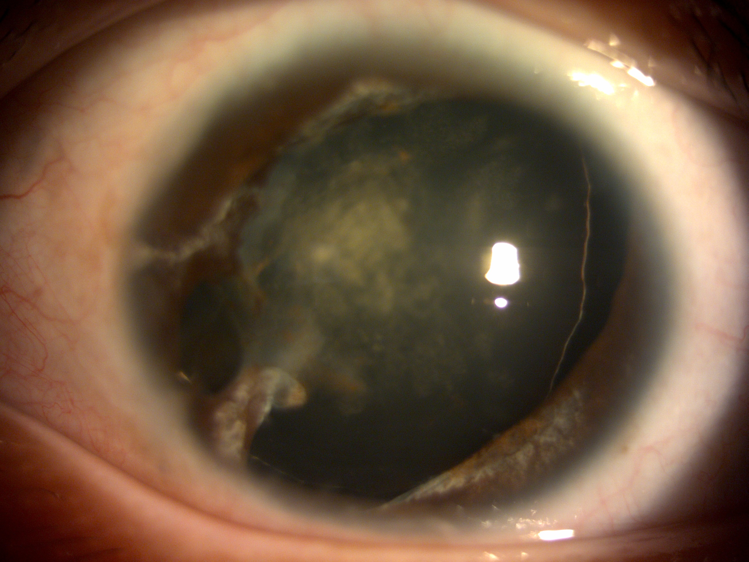 17099738_20221026_161219_DC4Image_L_7553.jpg (1.07 MB)