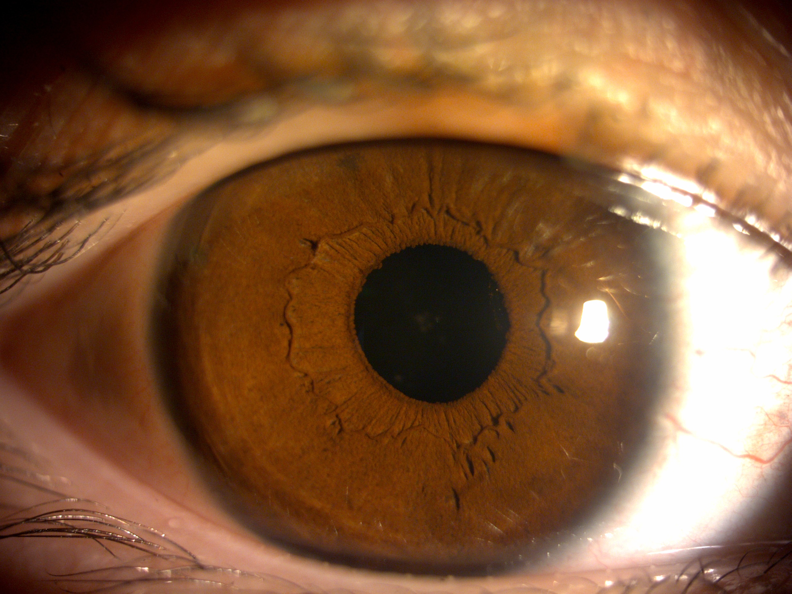 17195610._20230114_131041_DC4Image_R_9063.jpg (1.10 MB)