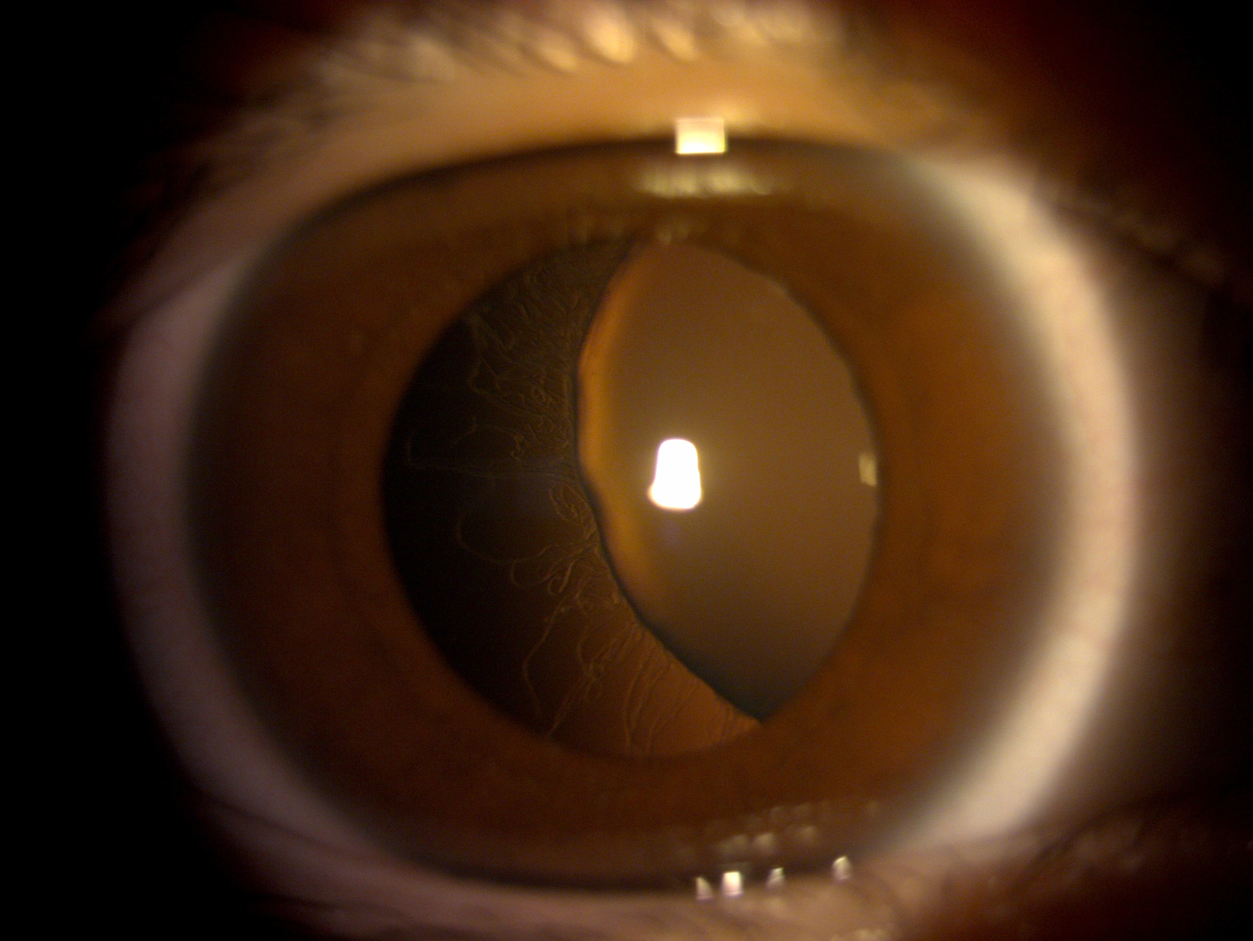 17195610_20220824_173511_DC4Image_R_6536.jpg (967 KB)