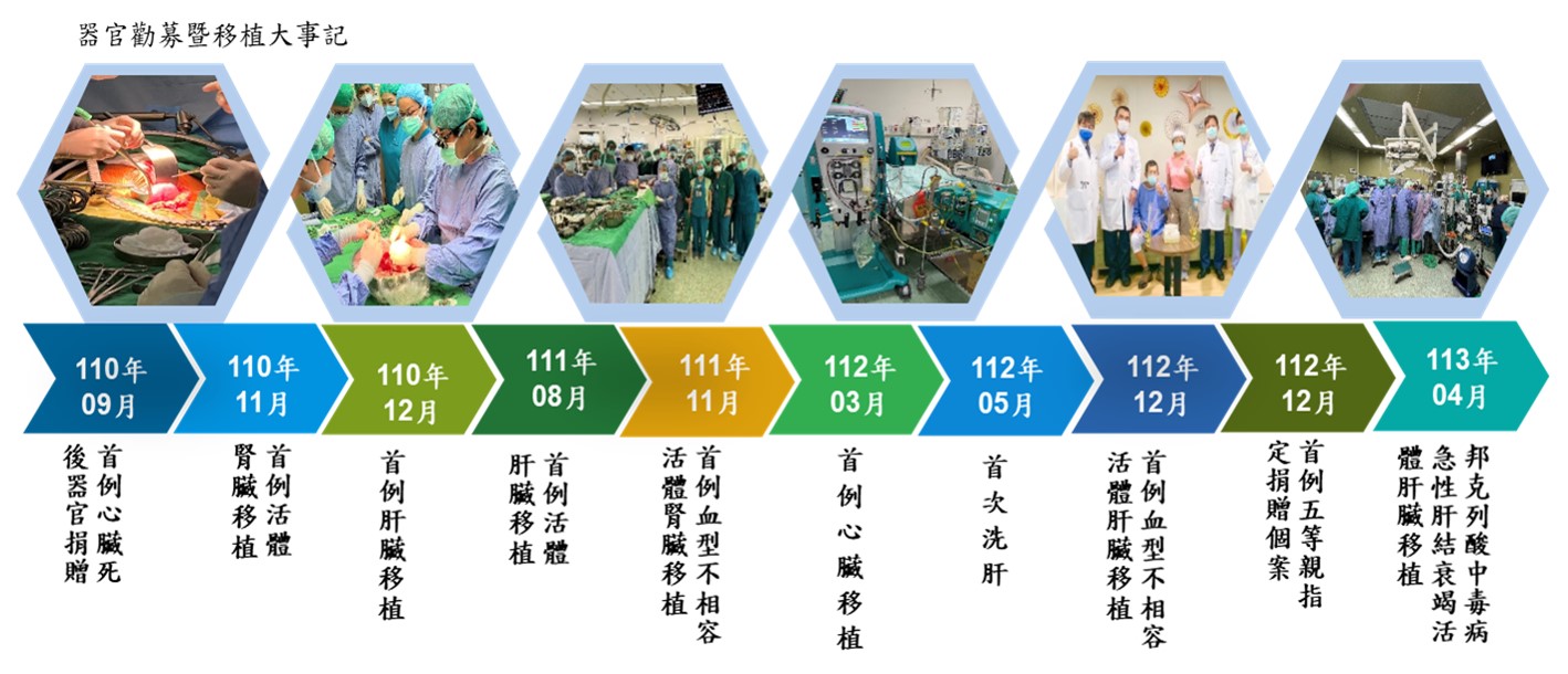 timeline.jpg (189 KB)