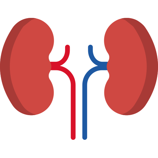 慢性腎臟病.png (23 KB)