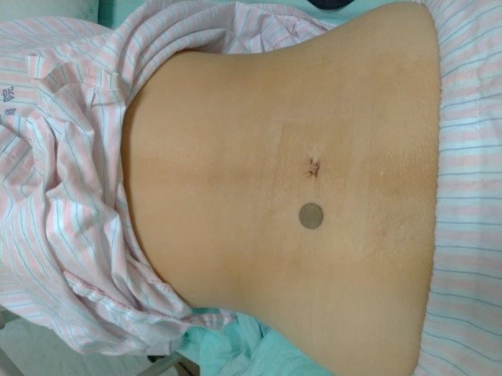 20260102-2.jpg (46 KB)