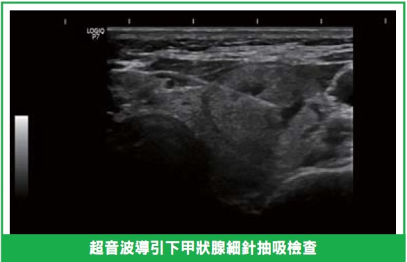 20260103-2.jpg (35 KB)